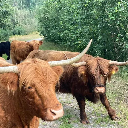 Birkenhof - Urlaub Auf Dem Bauernhof Mit Blick Ins Gruene Apartmán Weeze