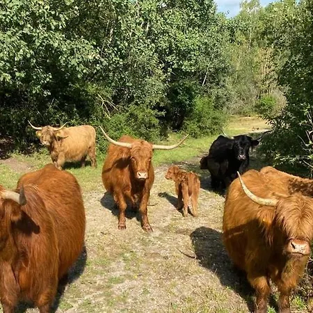 Birkenhof - Urlaub Auf Dem Bauernhof Mit Blick Ins Gruene Apartamento *