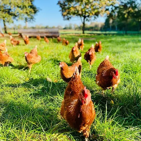 Birkenhof - Urlaub Auf Dem Bauernhof Mit Blick Ins Gruene Apartmán Weeze