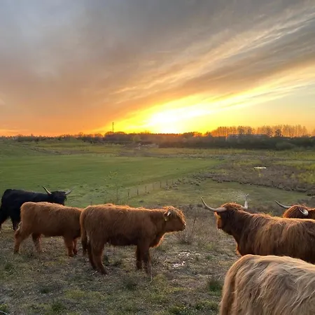 Birkenhof - Urlaub Auf Dem Bauernhof Mit Blick Ins Gruene