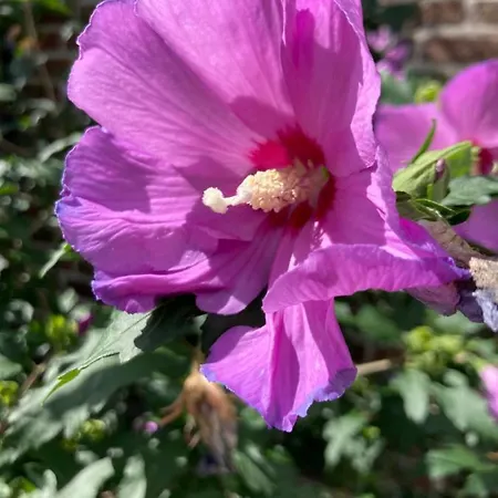 Birkenhof - Urlaub Auf Dem Bauernhof Mit Blick Ins Gruene