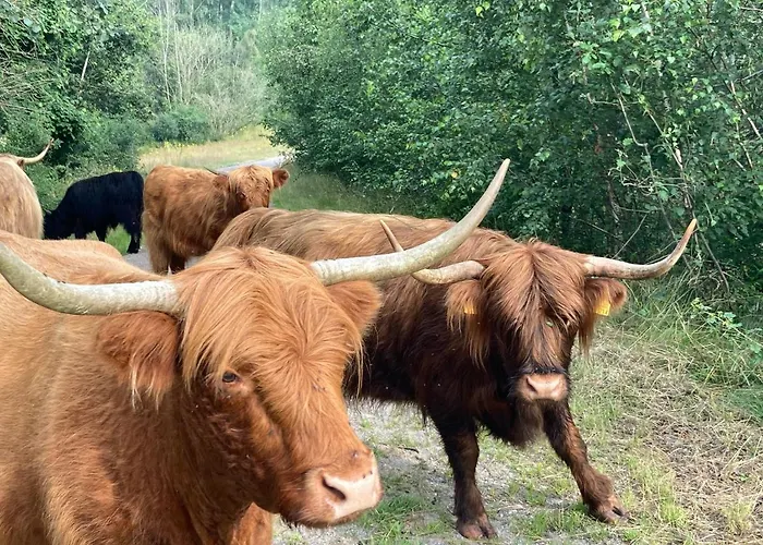 Birkenhof - Urlaub Auf Dem Bauernhof Mit Blick Ins Gruene 公寓 韦策