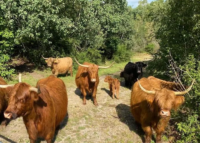 Birkenhof - Urlaub Auf Dem Bauernhof Mit Blick Ins Gruene Διαμέρισμα *