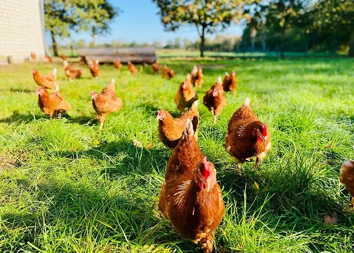 Birkenhof - Urlaub Auf Dem Bauernhof Mit Blick Ins Gruene Διαμέρισμα Weeze