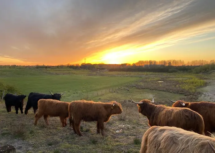 Birkenhof - Urlaub Auf Dem Bauernhof Mit Blick Ins Gruene
